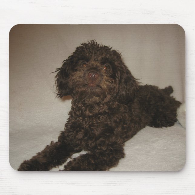 mousepad do doogy (Frente)