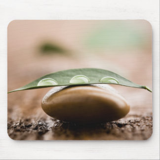 Mousepad do equilíbrio
