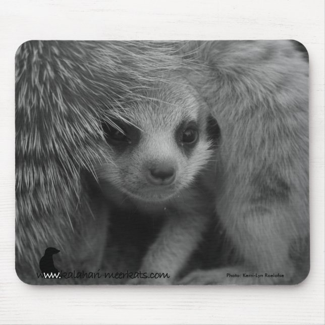Mousepad do filhote de cachorro de Moomins - (Frente)