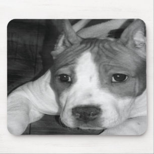 Mousepad do filhote de cachorro de Pitbull