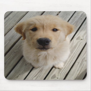 Mousepad do filhote de cachorro do golden