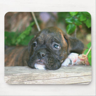 Mousepad do filhote de cachorro do pugilista