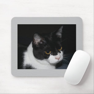 Mousepad do Gatinho bonito