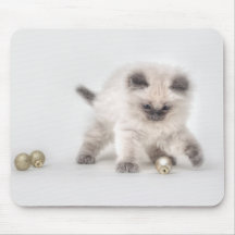 Mousepad do gatinho de Ragdoll