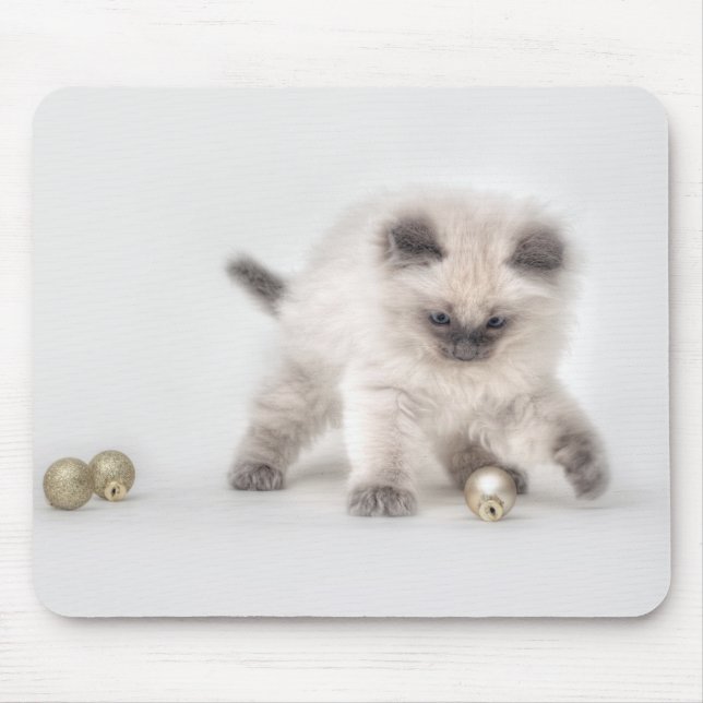 Mousepad do gatinho de Ragdoll (Frente)