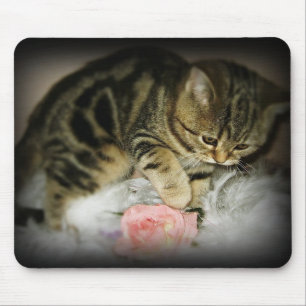 Mousepad do gatinho do gato malhado