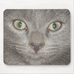 mousepad do gatinho face2 - cinza