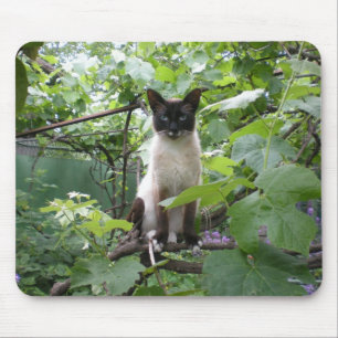 Mousepad do gato
