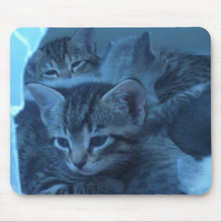 Mousepad do gato