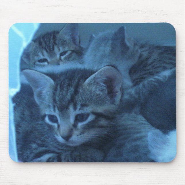 Mousepad do gato (Frente)