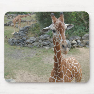 Mousepad do girafa