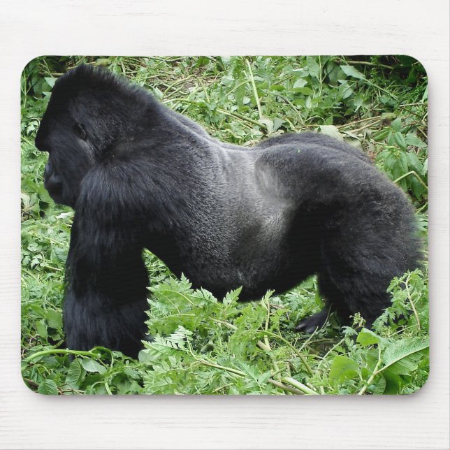 Mousepad do gorila do Silverback (Frente)
