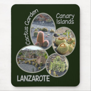 Mousepad do jardim do cacto