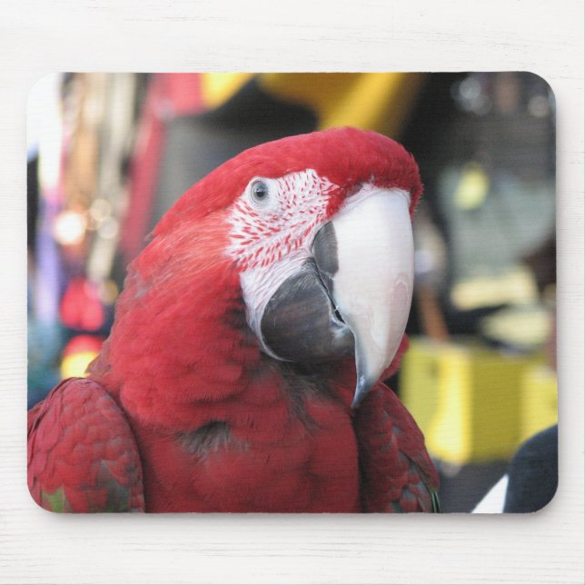 Mousepad do Macaw (Frente)
