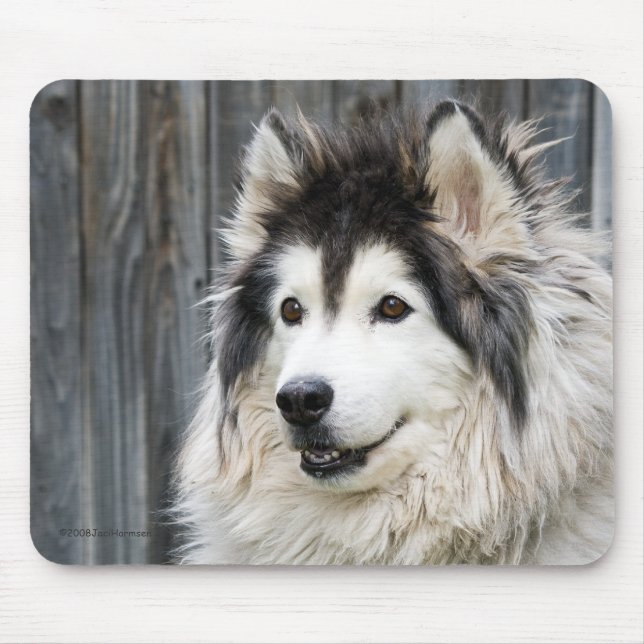 Mousepad do Malamute do Alasca (Frente)