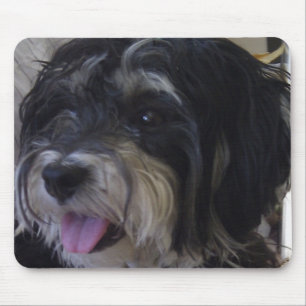 mousepad do maltipoo