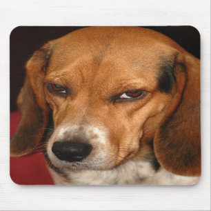 Mousepad do olhar sujo