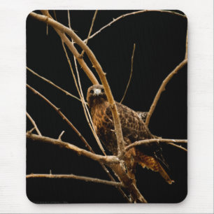 Mousepad do ouro