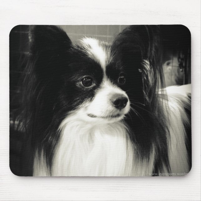 mousepad do papillon (Frente)