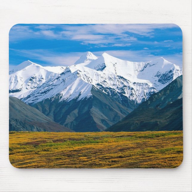 Mousepad do parque nacional de Denali (Frente)