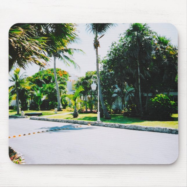mousepad do ponto de vista tropical (Frente)
