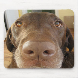 Mousepad do POP