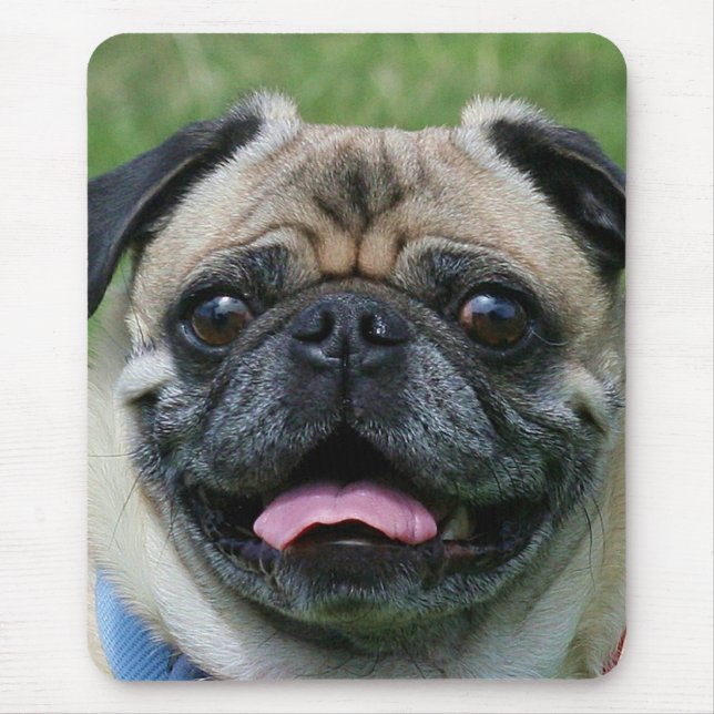 Mousepad do Pug (Frente)