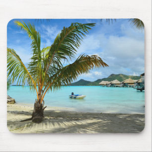 Mousepad do recurso da palmeira e do overwater