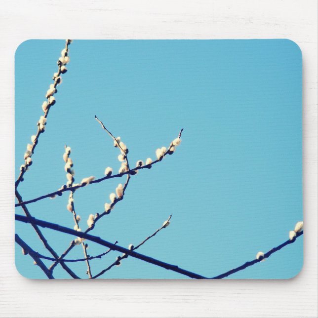 mousepad do salgueiro (Frente)