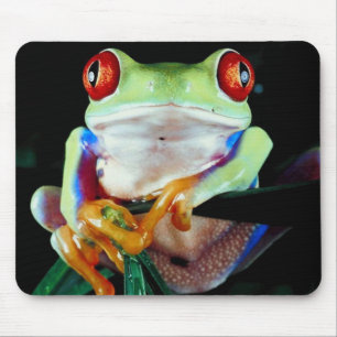 Mousepad do sapo de árvore