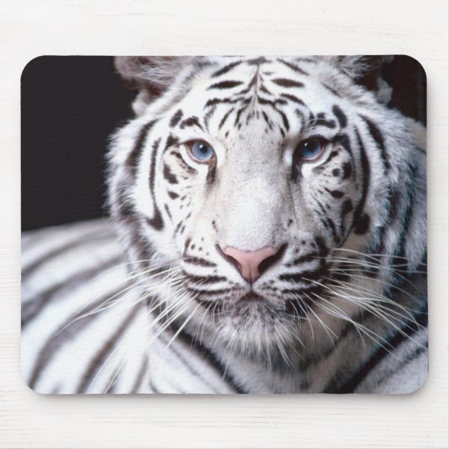 Mousepad do Tigre Branco de Bengala (Frente)