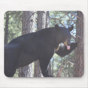 Mousepad do Urso Negro