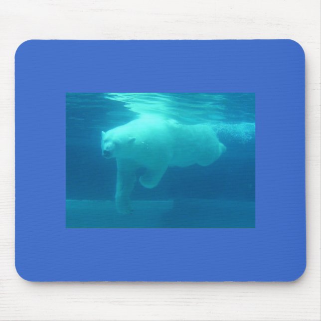 Mousepad do Urso Polar (Frente)