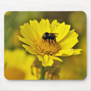 Mousepad do zangão