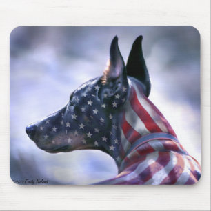 Mousepad Doberman americano do orgulho