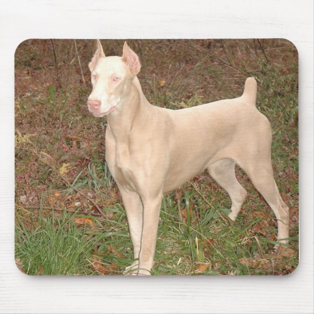 Mousepad doberman branco (Frente)