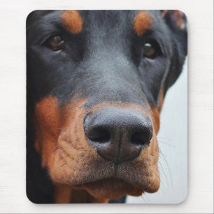 Mousepad Doberman Pinscher