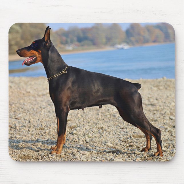 Mousepad Doberman Pinscher, preto e tan, na linha costeira (Frente)