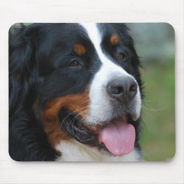 Mousepad Doce Rato de Bernese (Frente)