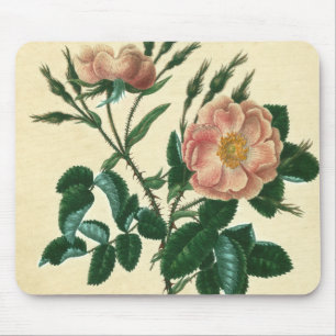 Mousepad Doce Rosa Briar