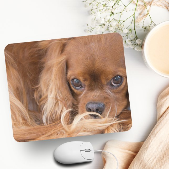 Mousepad Doce Ruby Cavalier King Charles Spaniel (Charming King Charles Spaniel Mousepad: Elevate Your Workspace with Adoration.)