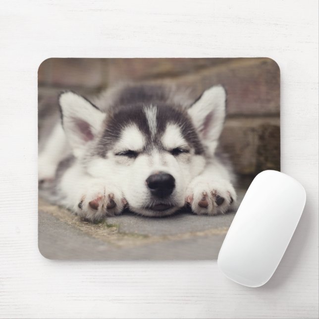 Mousepad Doce Siberiano Dormindo (Com mouse)