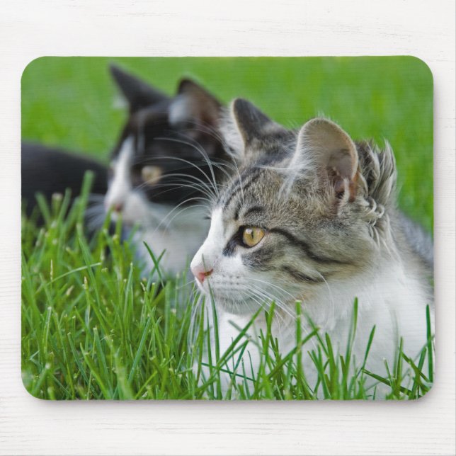 Mousepad Doces Kittens (Frente)