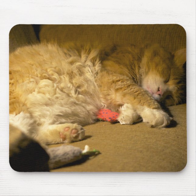 Mousepad Doces Sonhos, Gato Gatinho (Frente)