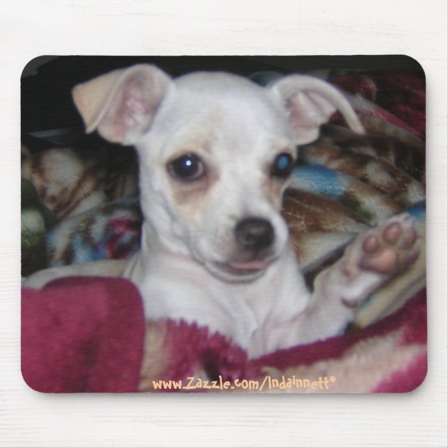 Mousepad Dog-MousePad. bonito (Frente)