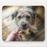 Mousepad Dog Playing With Rope<br><div class="desc">A scruffy dog is playing tug of war with a man using a frayed rope</div>