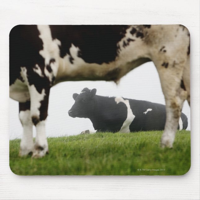 Mousepad dois (Frente)