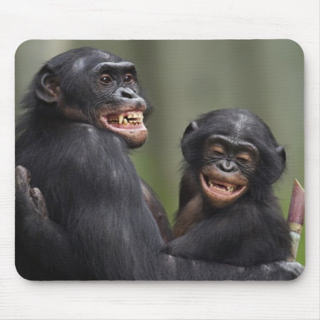 Mousepad Dois Bonobos de sorriso (Frente)