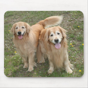 Mousepad Dois Cachorros de Retriever de Ouros Sorridentes n