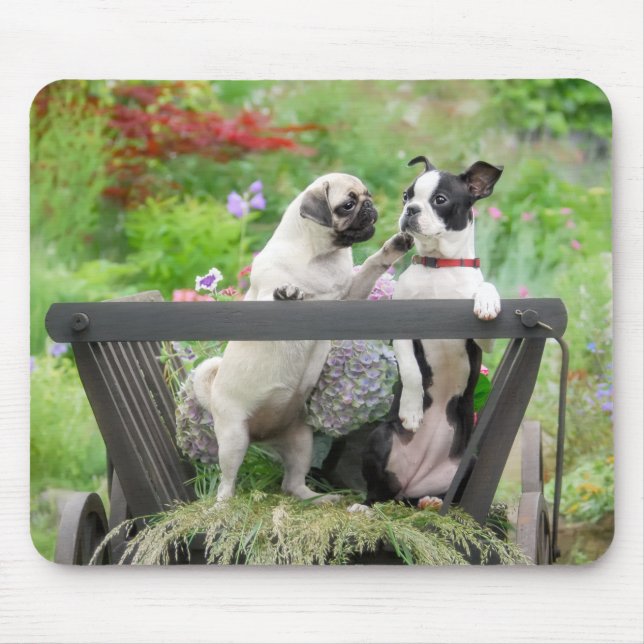 Mousepad Dois cachorros um cachorrinho e Boston Terrier num (Frente)